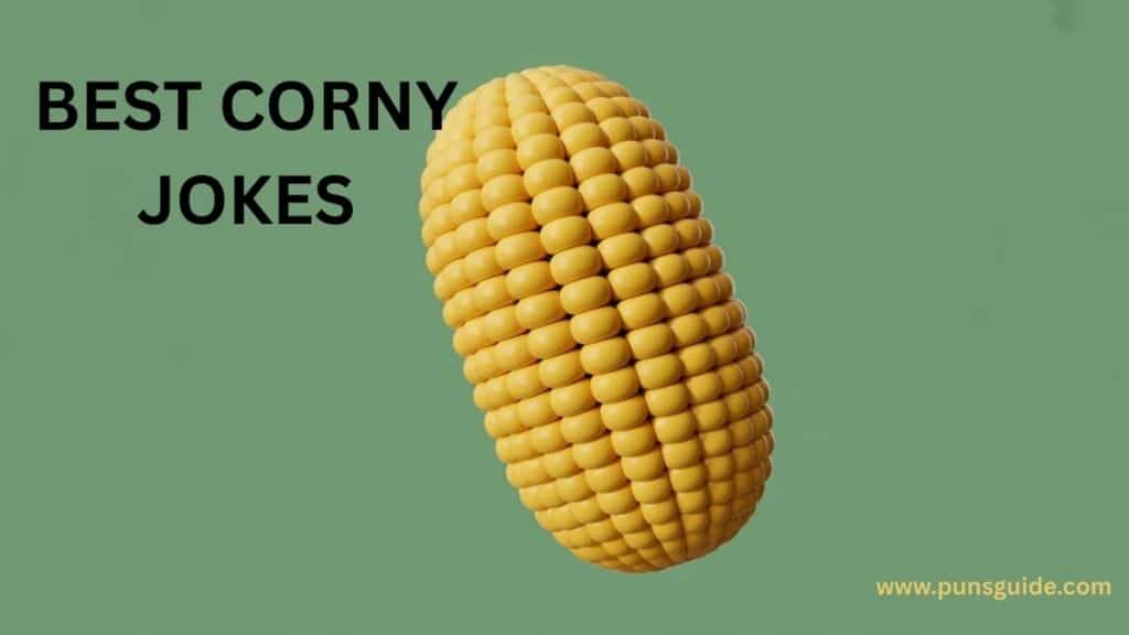 The Best Corny Jokes
