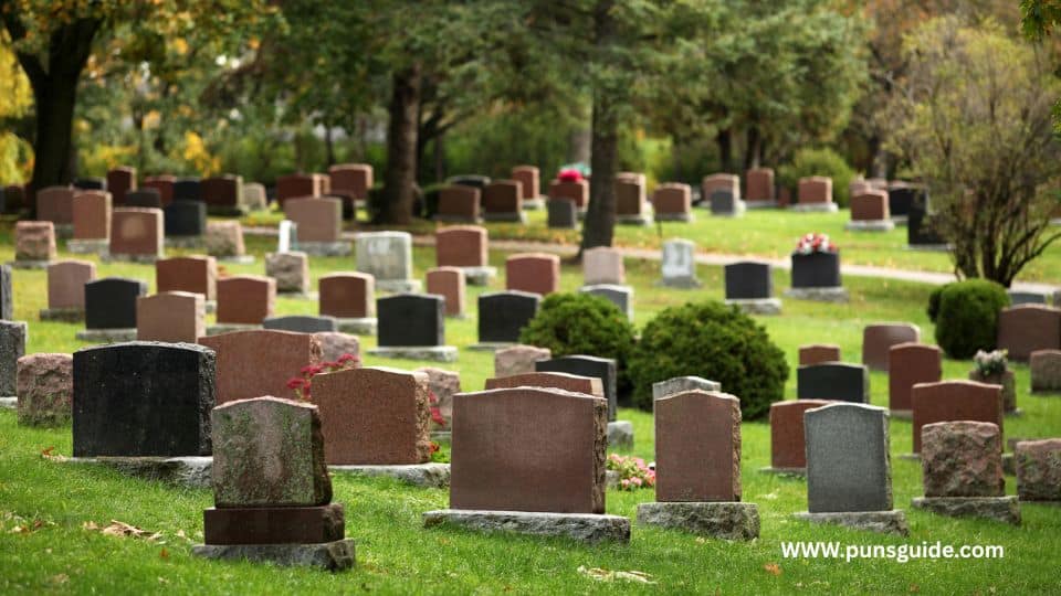 Top Cemetery Jokes Best Picks