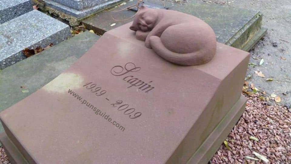 Cemetery Jokes and Puns for Kids