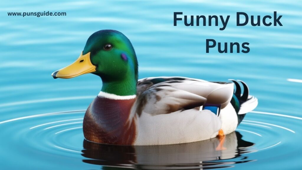 Funny