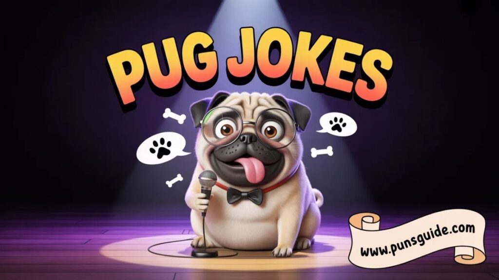 215+ Pug Jokes Ultimate Collection of One Liners
